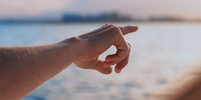 Where do you want to go?